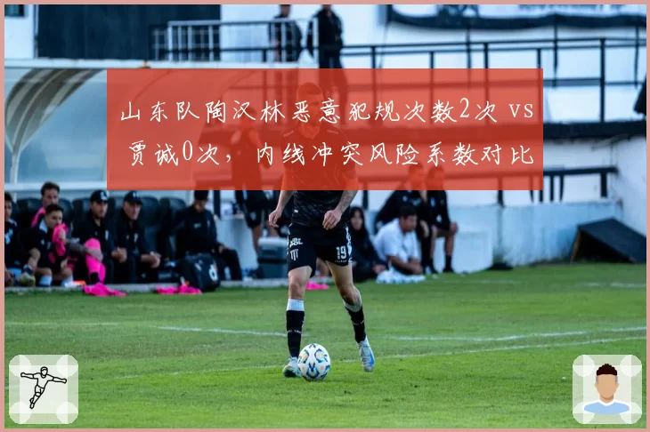 山东队陶汉林恶意犯规次数2次 vs 贾诚0次，内线冲突风险系数对比