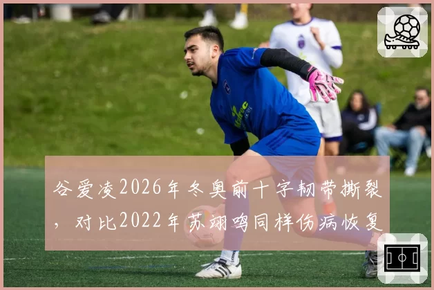 谷爱凌2026年冬奥前十字韧带撕裂，对比2022年苏翊鸣同样伤病恢复快3个月
