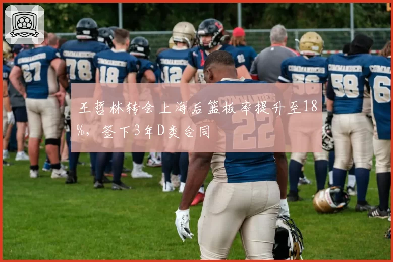 王哲林转会上海后篮板率提升至18%,签下3年D类合同