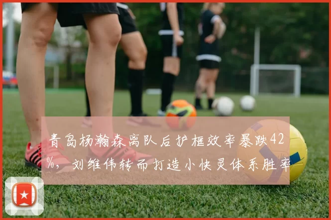青岛杨瀚森离队后护框效率暴跌42%,刘维伟转而打造小快灵体系胜率反升8个百分点__br_