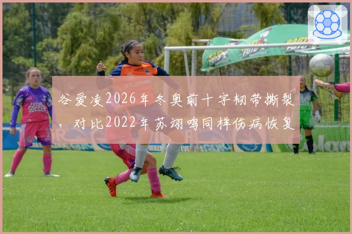 谷爱凌2026年冬奥前十字韧带撕裂,对比2022年苏翊鸣同样伤病恢复快3个月