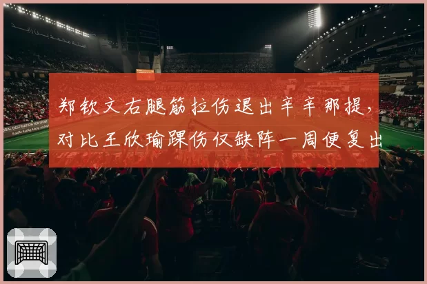 郑钦文右腿筋拉伤退出辛辛那提,对比王欣瑜踝伤仅缺阵一周便复出拿分,金花伤病应对策略分化