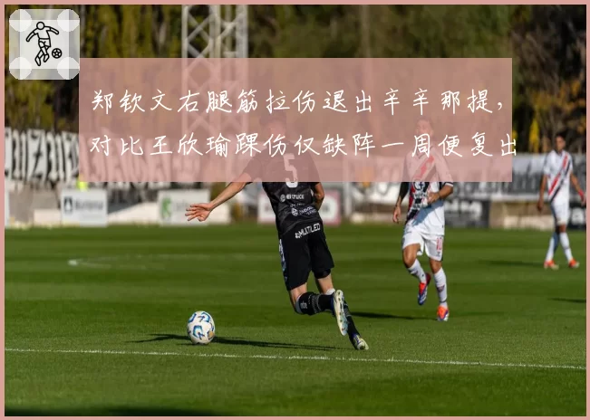 郑钦文右腿筋拉伤退出辛辛那提,对比王欣瑜踝伤仅缺阵一周便复出拿分,金花伤病应对策略分化